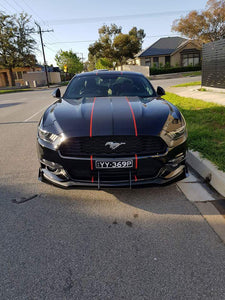 Ford Mustang Front Splitter